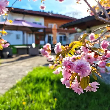 Apartment Ferienwohnung Windegg - Christoph Lechner Am Zeitberg *